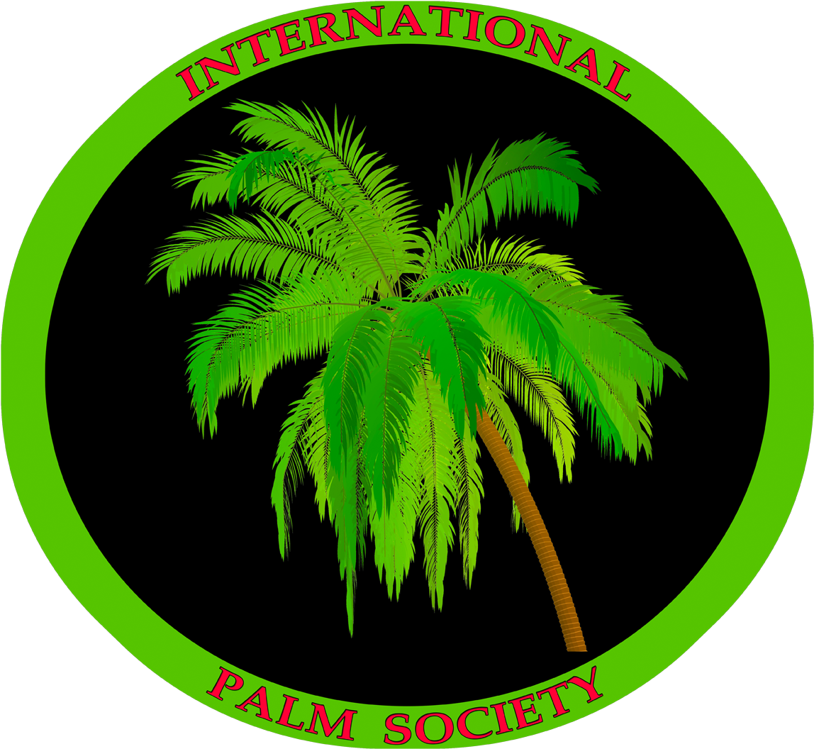 Black1280-2 - Watercolor Painting (1280x1126), Png Download