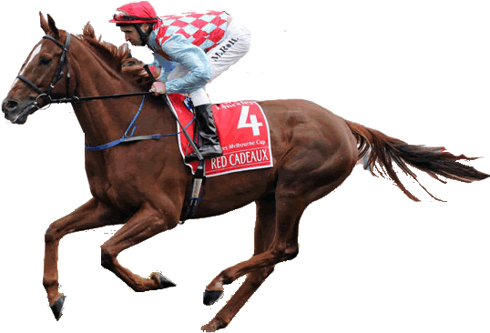 The Mighty Red Cadeaux - Racing Horse Transparent (700x500), Png Download