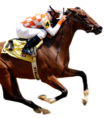 If You're Looking To Become A Successful Horse Racing - Beginner's Guide To Horse Racing And Wagering (356x402), Png Download