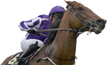 Dartmouth Horse Racing Action Shot - Horse Racing (393x226), Png Download