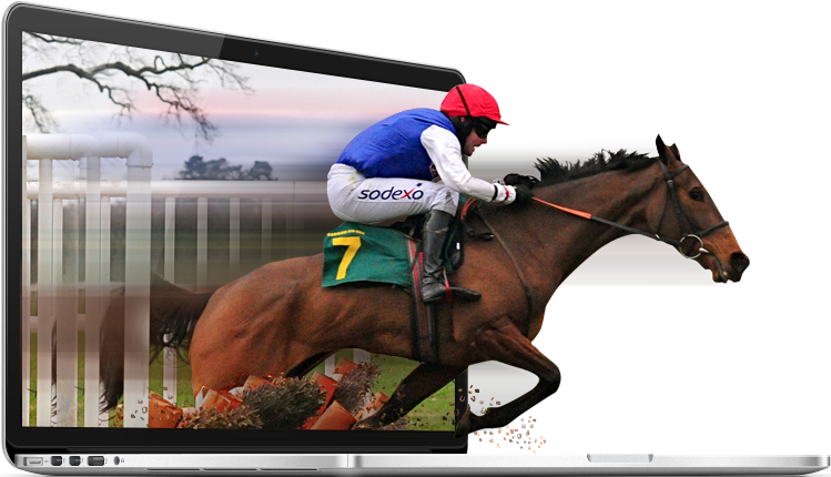 Fidelity It Race Horse - Wordpress (749x430), Png Download