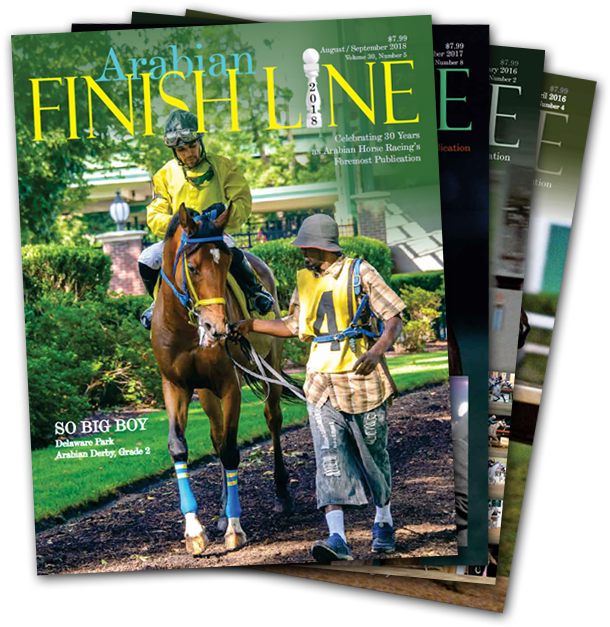 Arabian Finish Line (647x647), Png Download