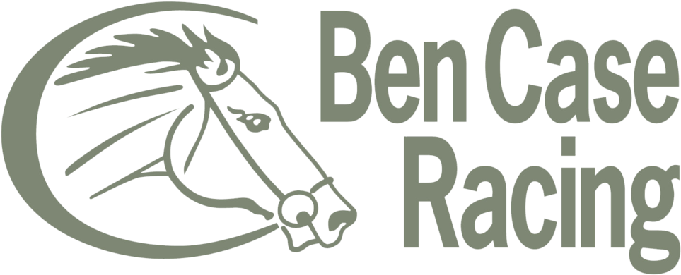 Race Horse Png (1000x413), Png Download