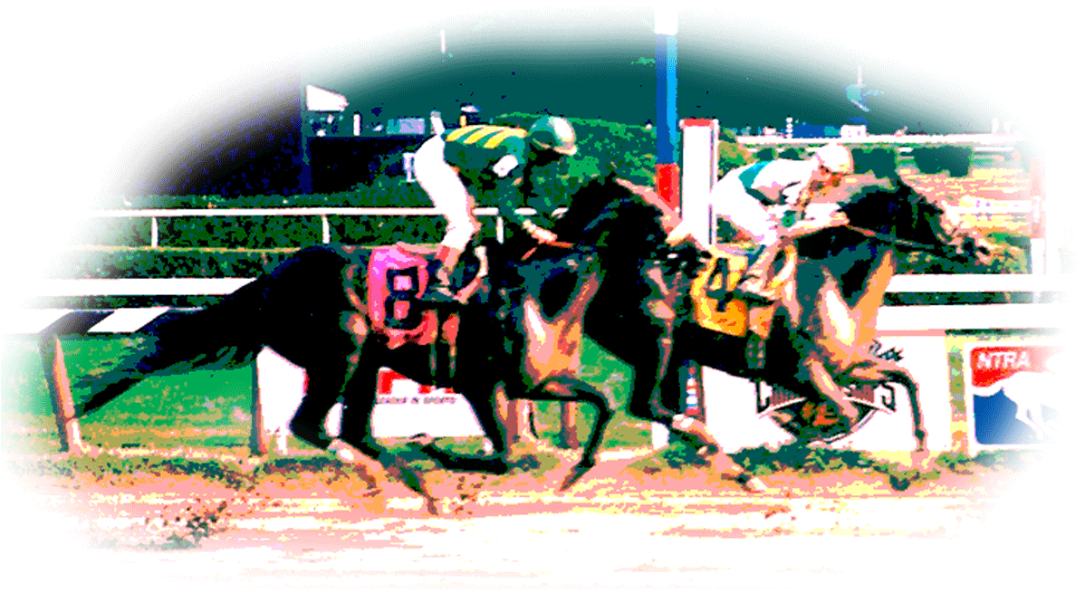 Lauren Suran Race Horses - Jockey (1200x983), Png Download