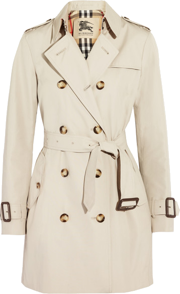 Burberry Trench Coat Png (358x585), Png Download