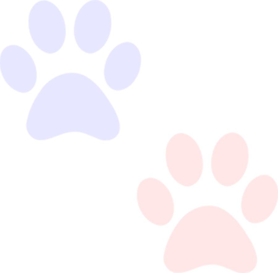Background - Paw (900x882), Png Download