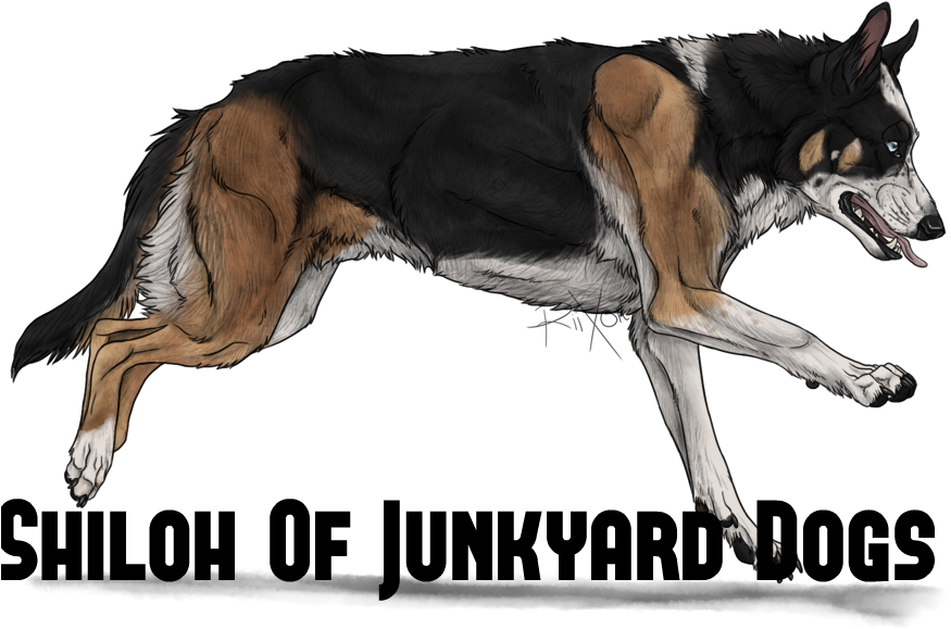 Panda Shepherd By Riixon-d6bhpfx - Panda German Shepherds (900x591), Png Download