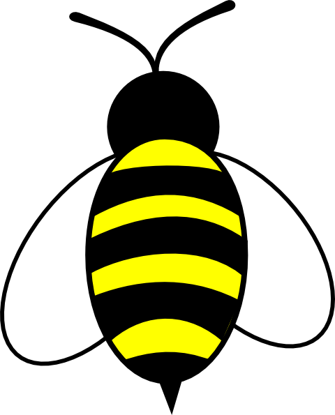 Honey Bee Easy Drawing (480x595), Png Download