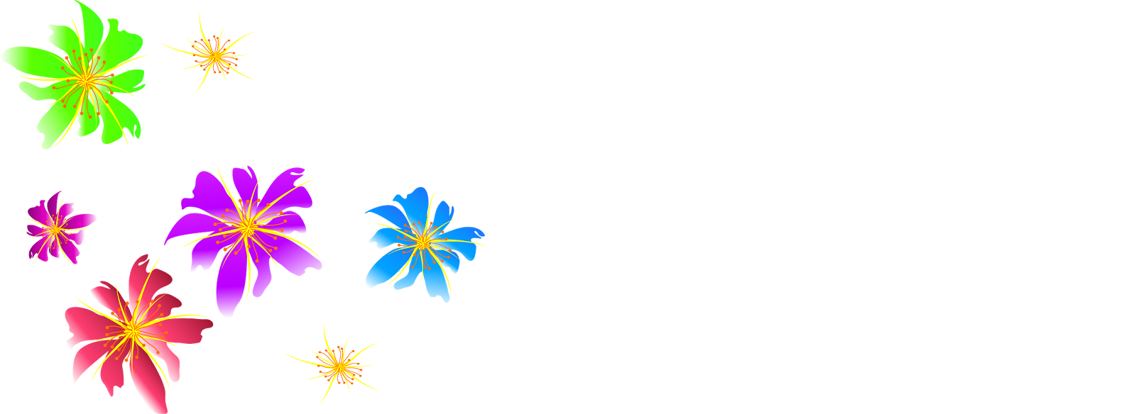 Adobe Photoshop, Colorful Flowers - Portable Network Graphics (1600x584), Png Download
