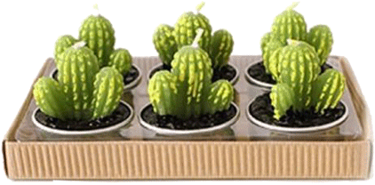 Itgirl Shop Mini Cactus Set 6 Candles Aesthetic Apparel, - Group Cute Cactus Shaped Green Cactus Mini Candles (460x460), Png Download