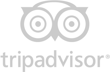 Trip Advisor Logo - Listerine Antiseptic Mouthwash, Cool Mint - 250 Ml (435x350), Png Download
