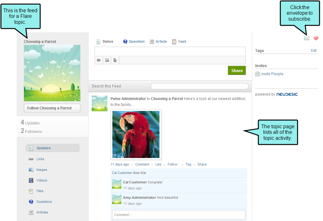 Navigate To A Flare Topic - Parrot (1036x712), Png Download