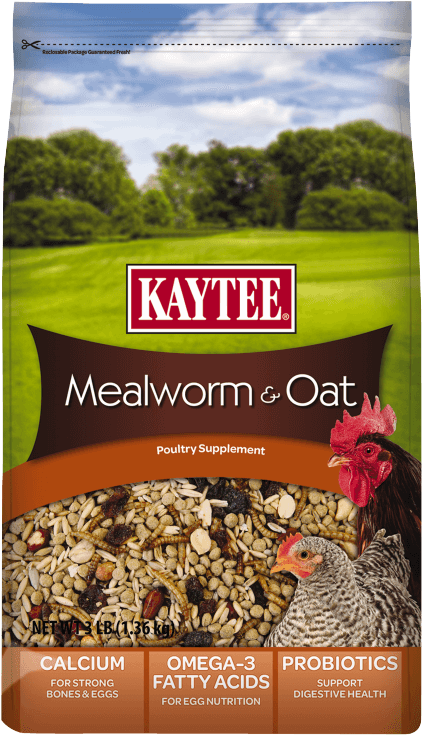 Kaytee Kt Mealworms And Oats Treat 100525168 (750x750), Png Download