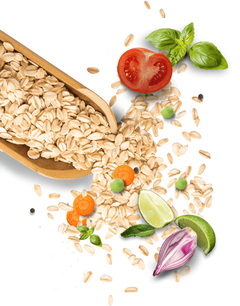 Goodness Of Oats And Vegetables - Vegetarian Cuisine (772x983), Png Download