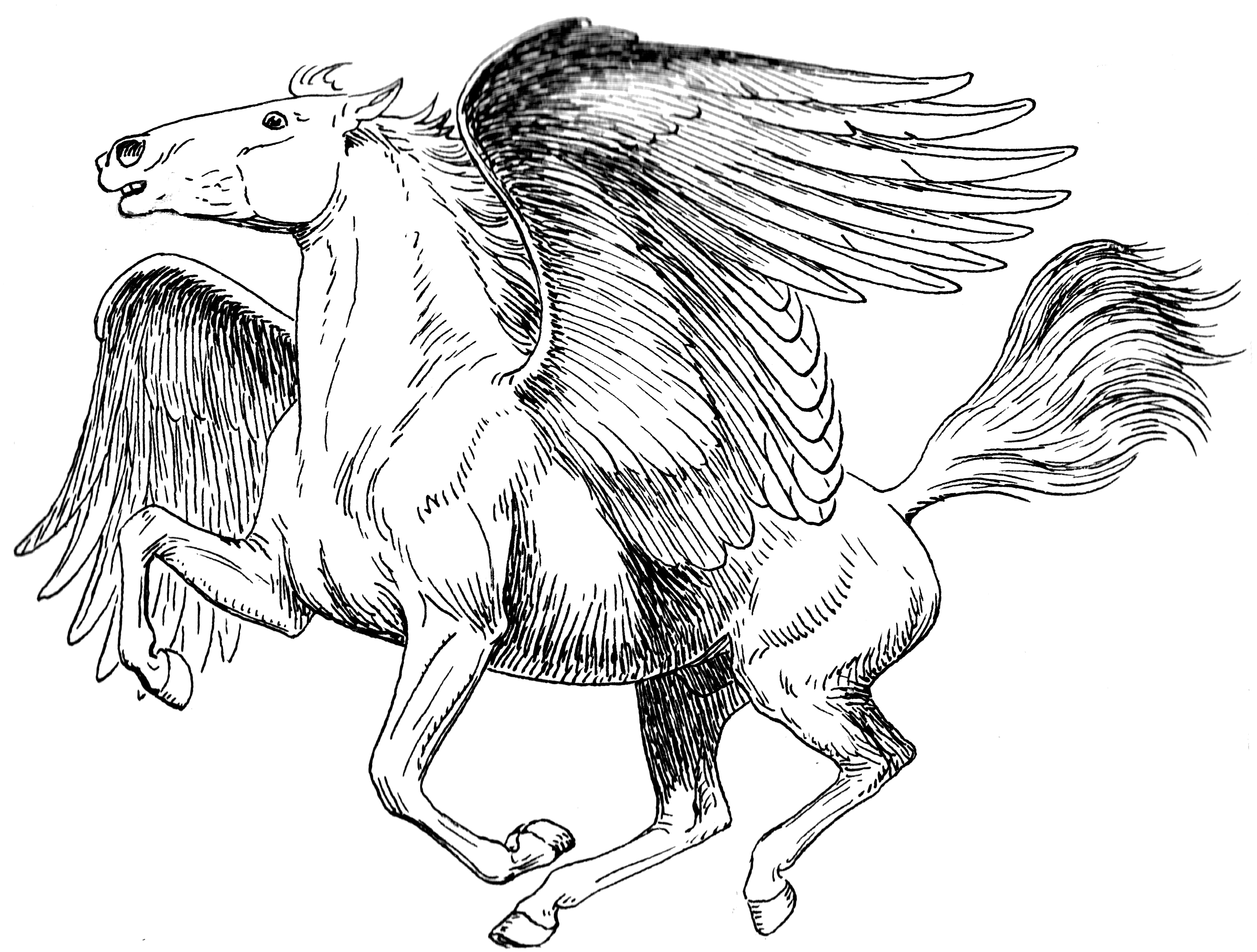 Greek Mythology Png Hd - Drawing Pad: Sketchbook, Pegasuas108 Blank Pages, Extra (2886x2328), Png Download
