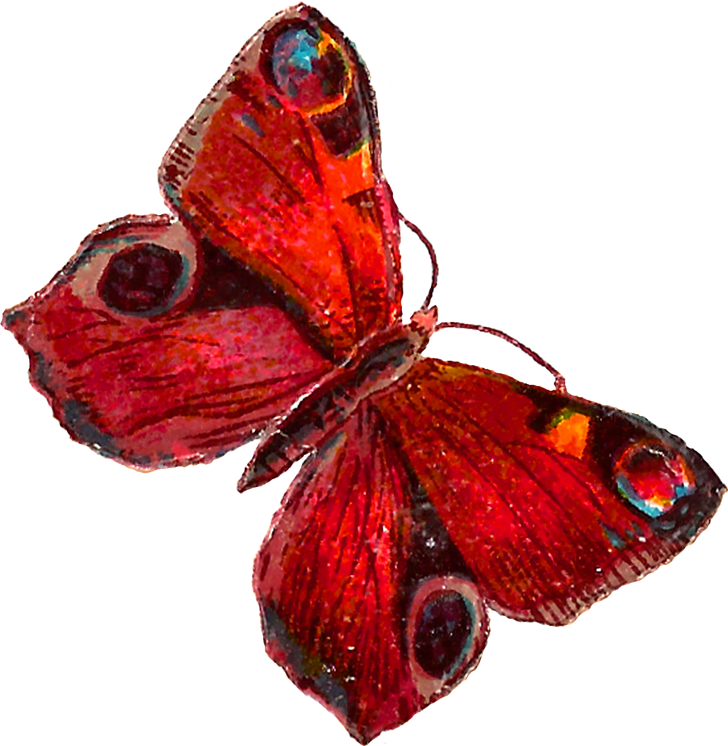 Red Butterfly Png Pic - Red Butterfly Wings Png (1584x1600), Png Download