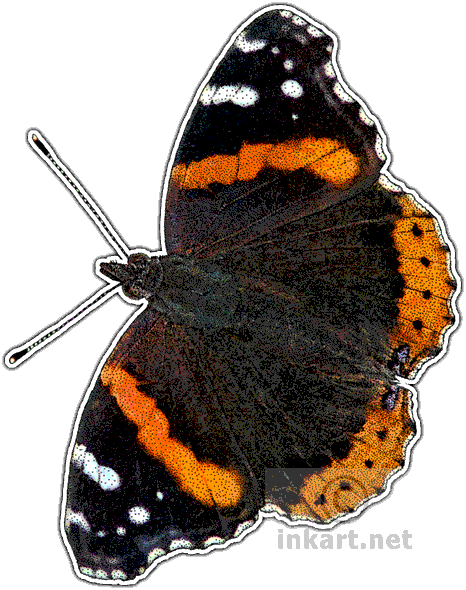 Red Admiral Butterfly Decal - Butterflies Of North America Note Cards (pk (466x590), Png Download