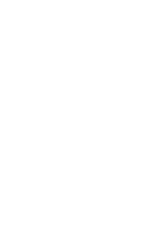 Plastic Half Gallon, Plastic Quart, Plastic Pint, Paper - Lotus Foods Organic Brown Rice Pad Thai Noodles, 8 (285x566), Png Download