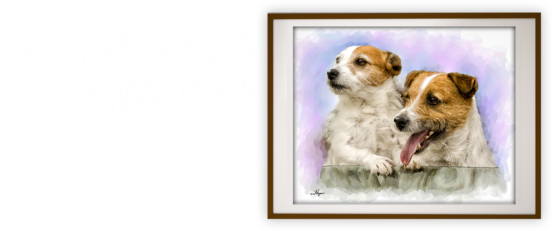 Home - Parson Russell Terrier (1120x508), Png Download