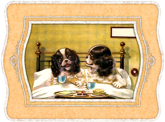 Mister Layam And The Little Lady Suprised Me With A - Animals In Bed (640x520), Png Download