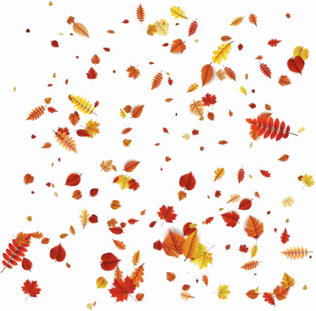 Falling Autumn Leaves Transparent Image - Transparent Png Autumn Leaves (650x640), Png Download