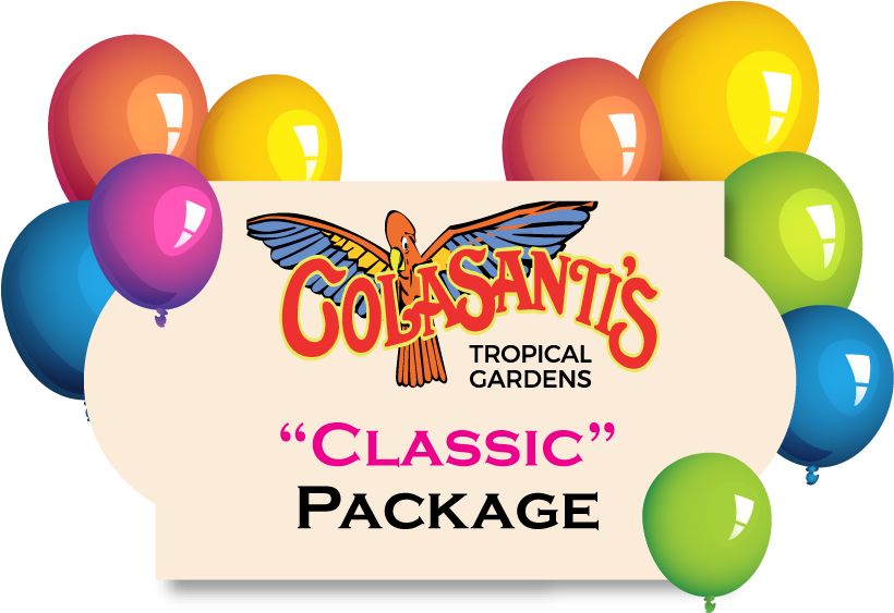 Birthday Party Activity Card Colasantis - Nannygoatscloset Rod Of Asclepius, Medical Symbol, (826x563), Png Download