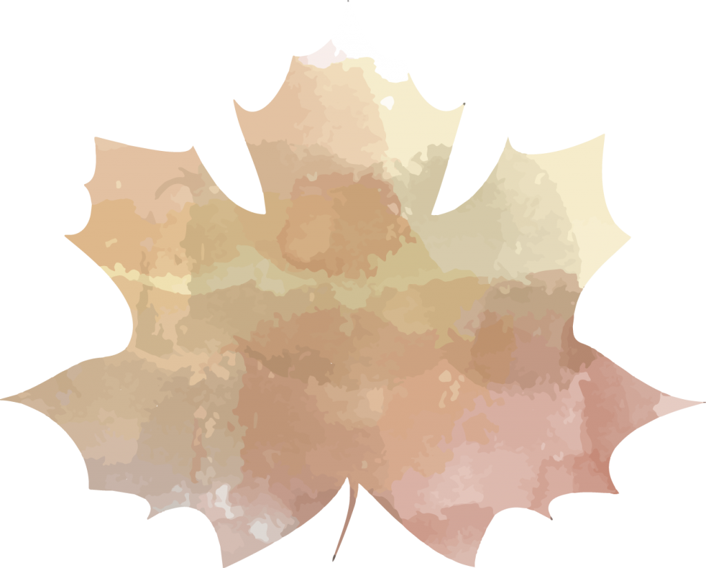 We Find More Beauty In Autumn Leaves Changing Colour - Maple Leaf (1024x824), Png Download