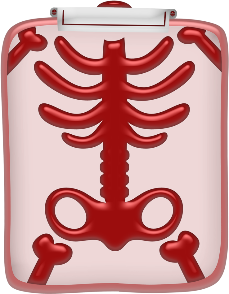 Gj Kitfirstaidforpuppy - Mobile Phone (785x1024), Png Download