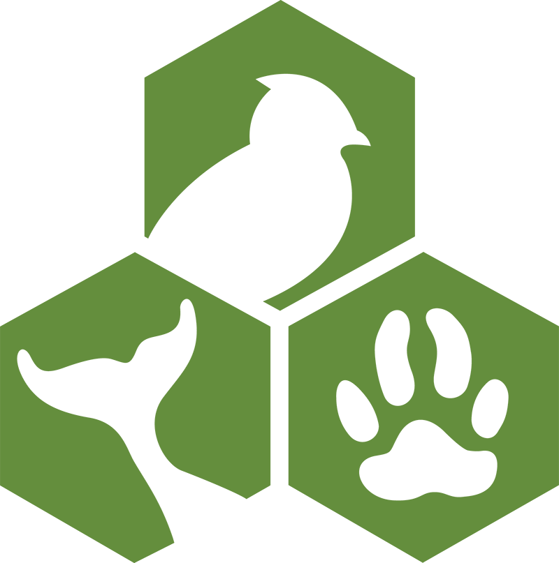 Awi Logo - Animal Welfare Institute Logo (800x807), Png Download