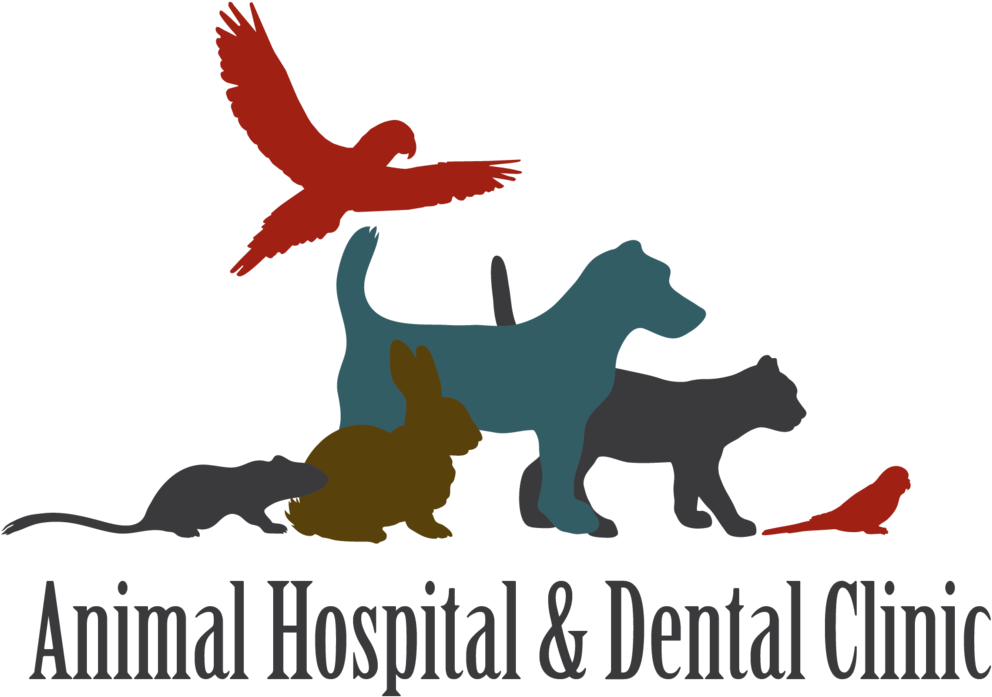 Animal Hospital Logo (1200x809), Png Download