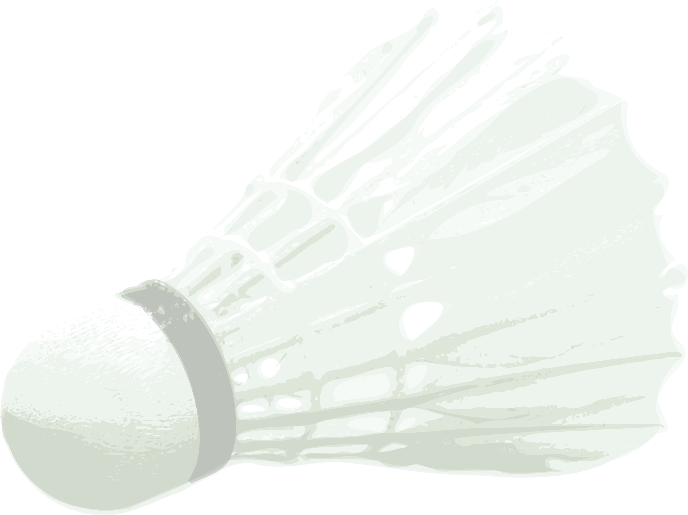 Battledore And Shuttlecock Badminton Sporting Goods - Badminton (1002x750), Png Download