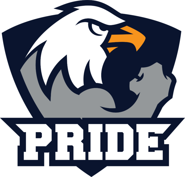 Pride Liquipedia Counter Strike Wiki - Pride Cs Go (600x573), Png Download