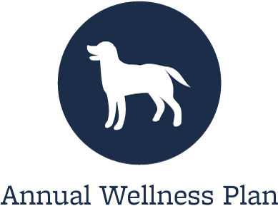Wellness Plans At Vacaville Animal Care Center - Starch Pet Hospital (400x321), Png Download