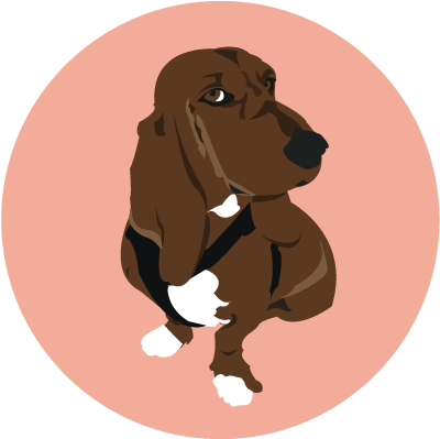 Basset Hound (500x500), Png Download