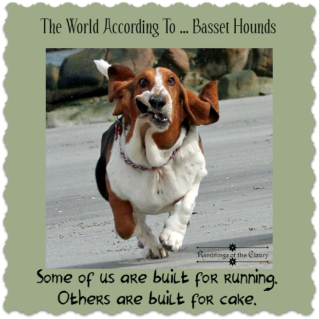 newborn basset hound