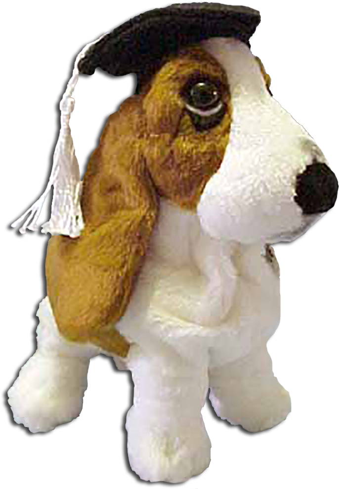 Graduation Hushpuppy Basset Hound Puppy Dog - Basset Hound (700x1000), Png Download