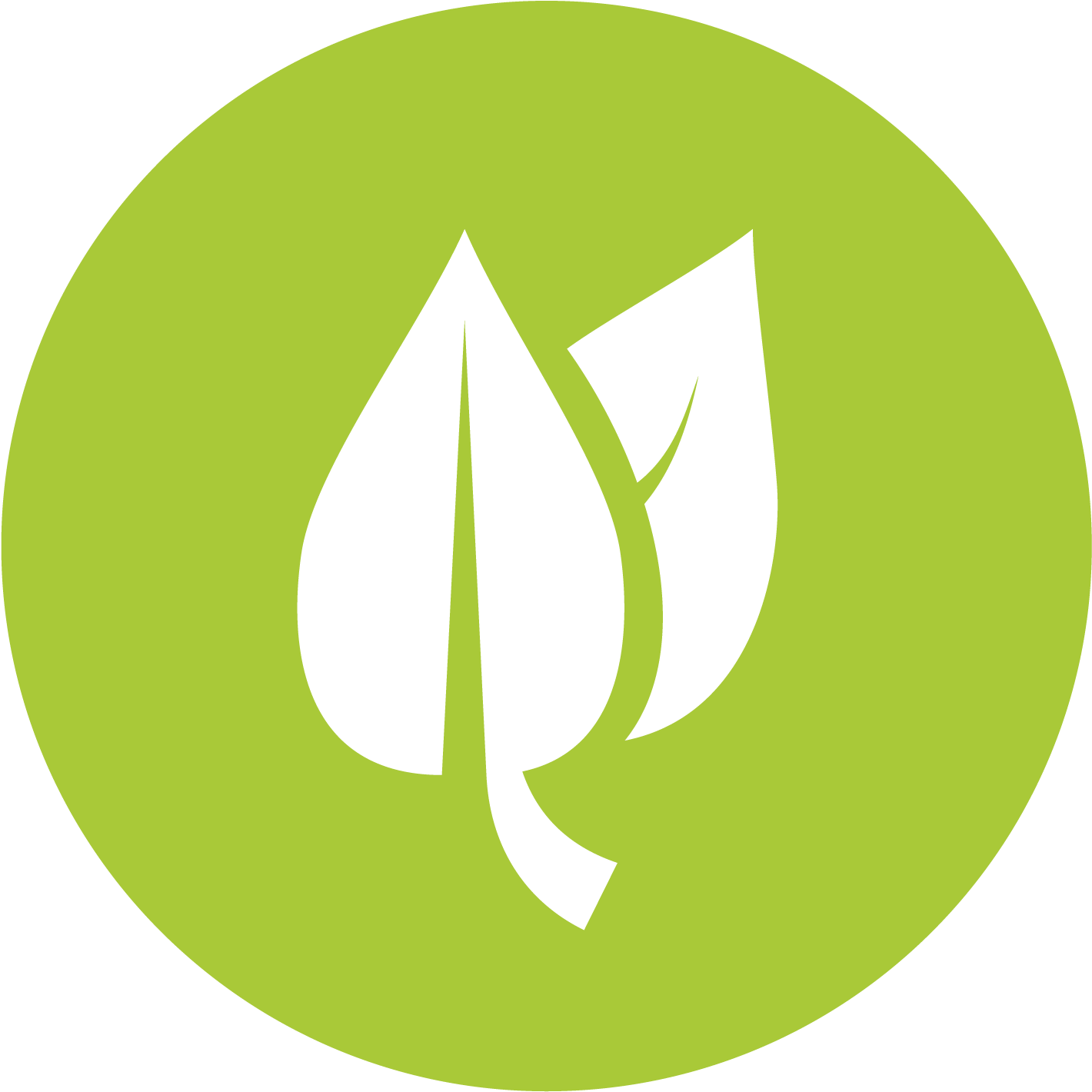 Realistic Frog - Leaf Flat Icon Png (1535x1535), Png Download