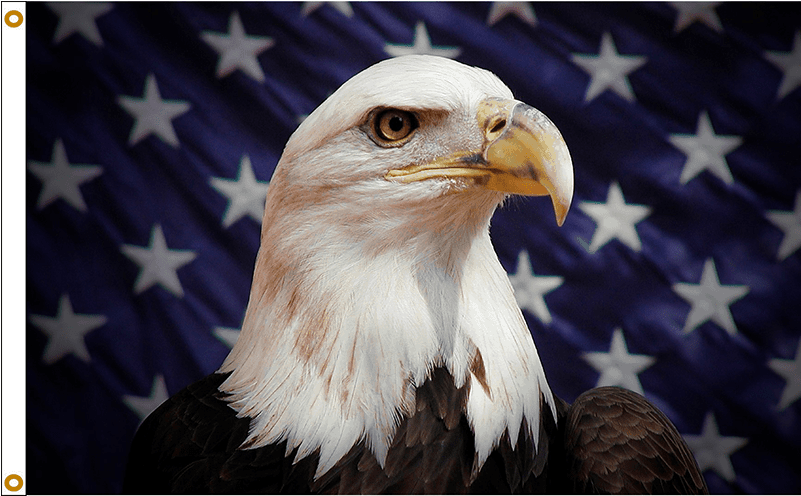 Patriotic Stars & Stripes American Eagle Flag - Eagle Flag (800x800), Png Download