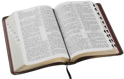 Adult Coed Bible Study @ Graham's - Open Holy Bible (590x350), Png Download