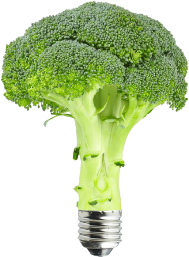 Broccoli Renewable Energy Bulb - Broccoli (800x600), Png Download