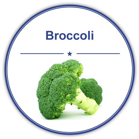 Imagen De Brocoli En Ingles (485x485), Png Download