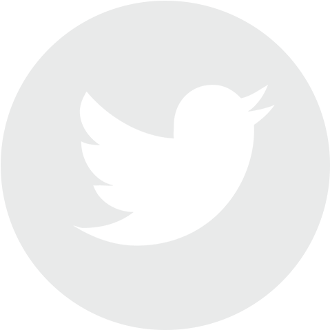 Download Transparent Twitter Icon Transparent Background - Twitter Logo