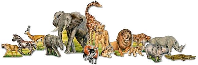 21dk3vb - Bunch Of Different Animals (653x216), Png Download