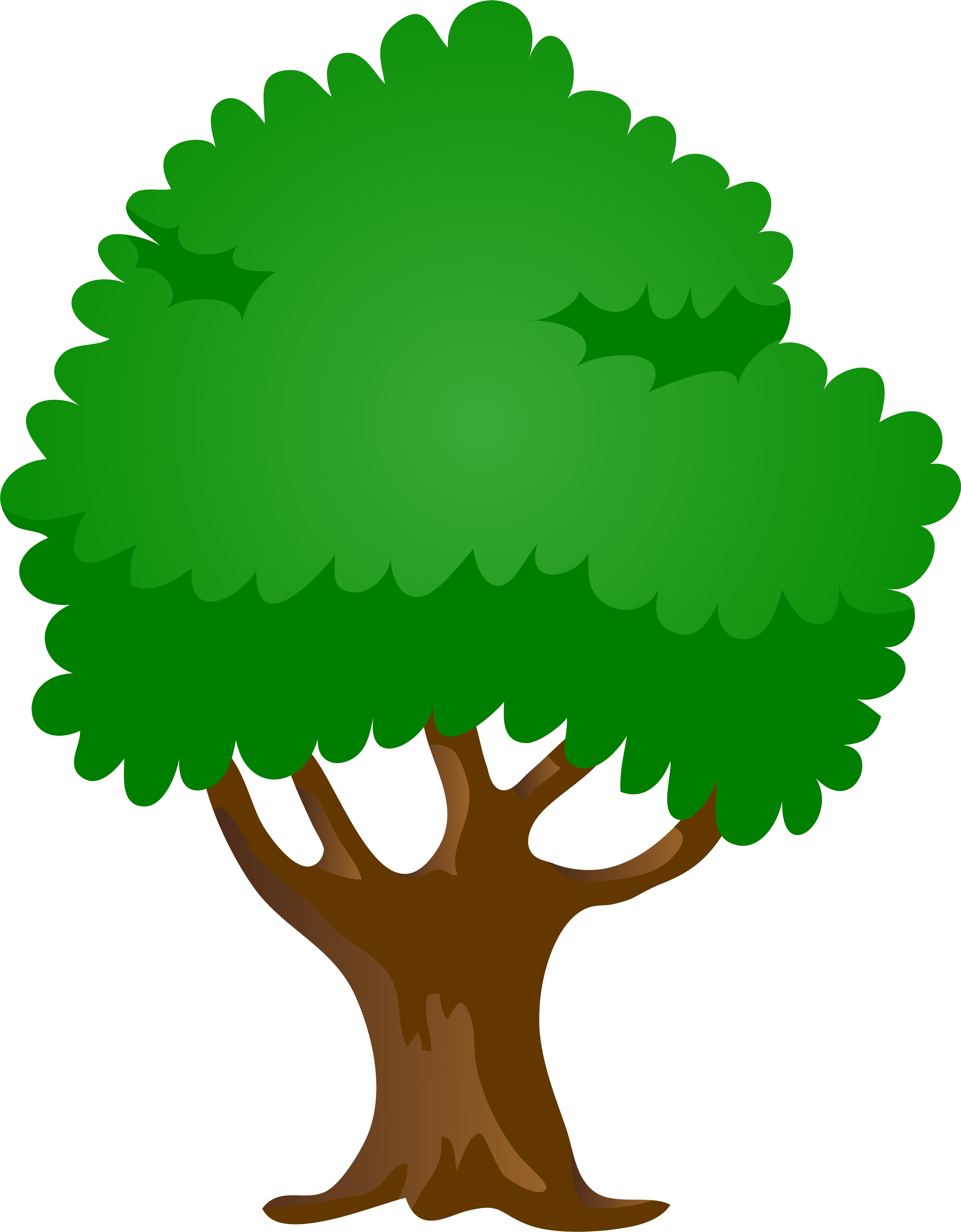 Oak Tree Cartoon Png (6023x7632), Png Download