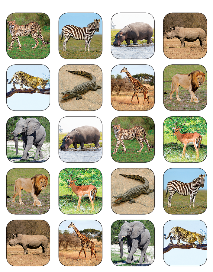 Tcr5468 Safari Animals Stickers Image - Teacher Created Resources Safari Animals Stickers (900x900), Png Download