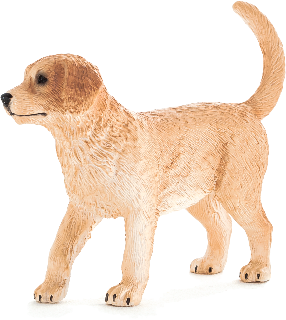 Animal Planet - Golden Retriever Puppy (5616x3744), Png Download