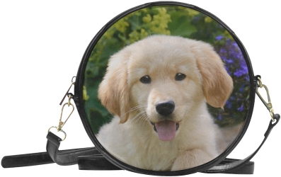 Cute Young Golden Retriever Dog Goldie Puppy Portrait - Miraculous Ladybug Marinette Bag (500x500), Png Download