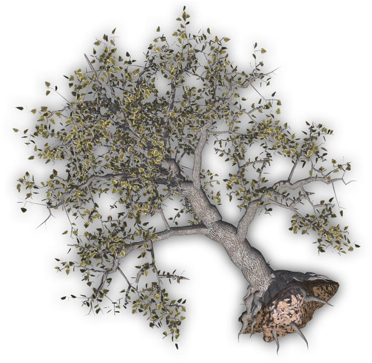 24 Mar 2009 - Clip Art (760x723), Png Download