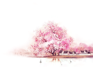 Pink Peach Blossom Background Vector, Flowers, Tree, - 925 Silver 8mm Plated Ball Beads Chain Bracelet 21cm (360x360), Png Download