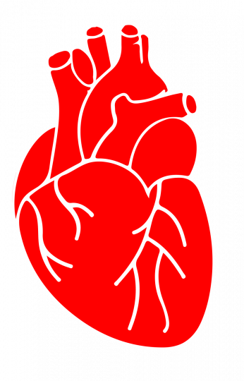 G's Tips For A Healthy Heart (346x540), Png Download
